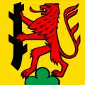 Flag of Dürrenäsch