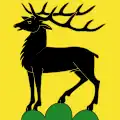 Flag of Eglisau