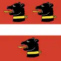 Flag of Elgg