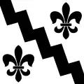Flag of Elsau