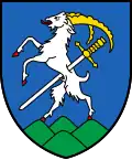 Coat of arms of Entremont District