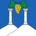 Flag of Féchy
