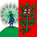 Flag of Faoug