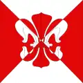Flag of Ferpicloz