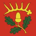 Flag of Flaach