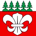 Flag of Forst