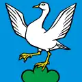 Flag of Gansingen