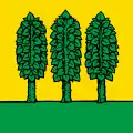 Flag of Genolier