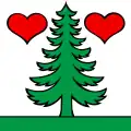 Flag of Gontenschwil