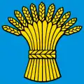 Flag of Gy