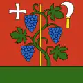 Flag of Höngg