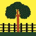 Flag of Hagenbuch