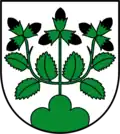 Coat of arms of Hasle
