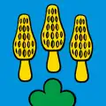 Flag of Hellikon