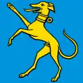 Flag of Hunzenschwil