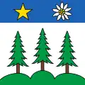 Flag of Icogne