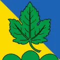 Flag of Isérables