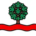 Flag of Kestenholz
