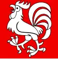 Flag of Koppigen