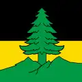 Flag of Leysin