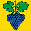 Flag of Lutzenberg