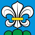 Flag of Lyss