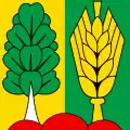 Flag of Müntschemier