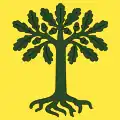 Flag of Marthalen