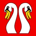 Flag of Mattstetten