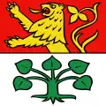 Flag of Mettau