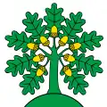 Flag of Montanaire