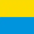 Flag of Muzzano