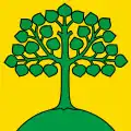 Flag of Neuheim