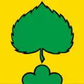 Flag of Niederlenz