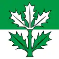Flag of Oberbalm