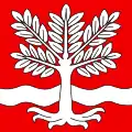 Flag of Oeschenbach