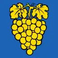 Flag of Perroy