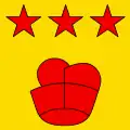 Flag of Pollegio
