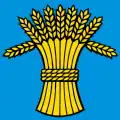 Flag of Rüfenach