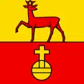 Flag of Remetschwil