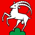 Flag of Remigen