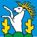 Flag of Reute
