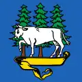 Flag of Saint-Luc