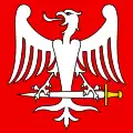 Flag of Sant'Antonino