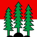 Flag of Savigny