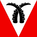 Flag of Saxeten