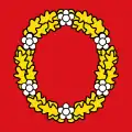 Flag of Schönengrund