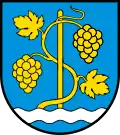 Coat of arms of Schinznach