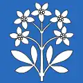 Flag of Schleinikon