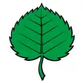 Flag of Schupfart